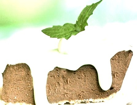 Mint Chocolate Fudge Pie ( R E C I P E )